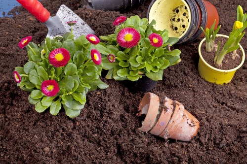 Gardener working in a terraced front garden in Camden