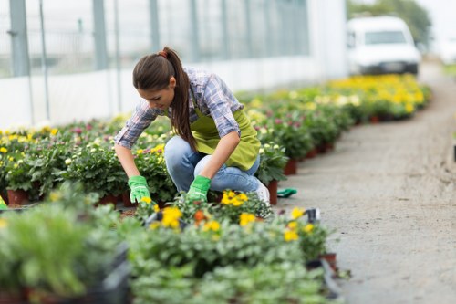 Team members maintaining a Camden garden