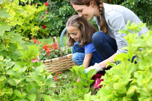 Experienced gardeners pruning and trimming plants in Camden garden