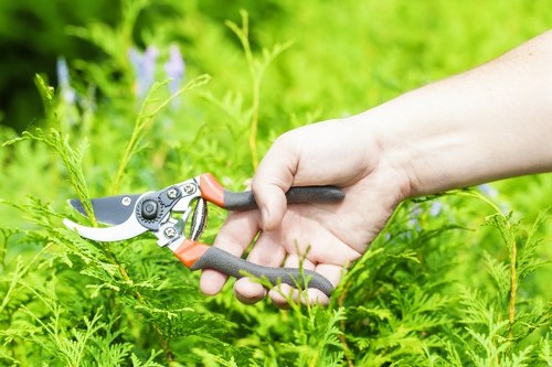 Technician assessing garden for safety risks