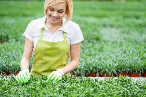 Close-up of trimmed lawn and tidy garden beds