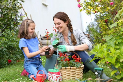 Seasonal garden maintenance in Camden